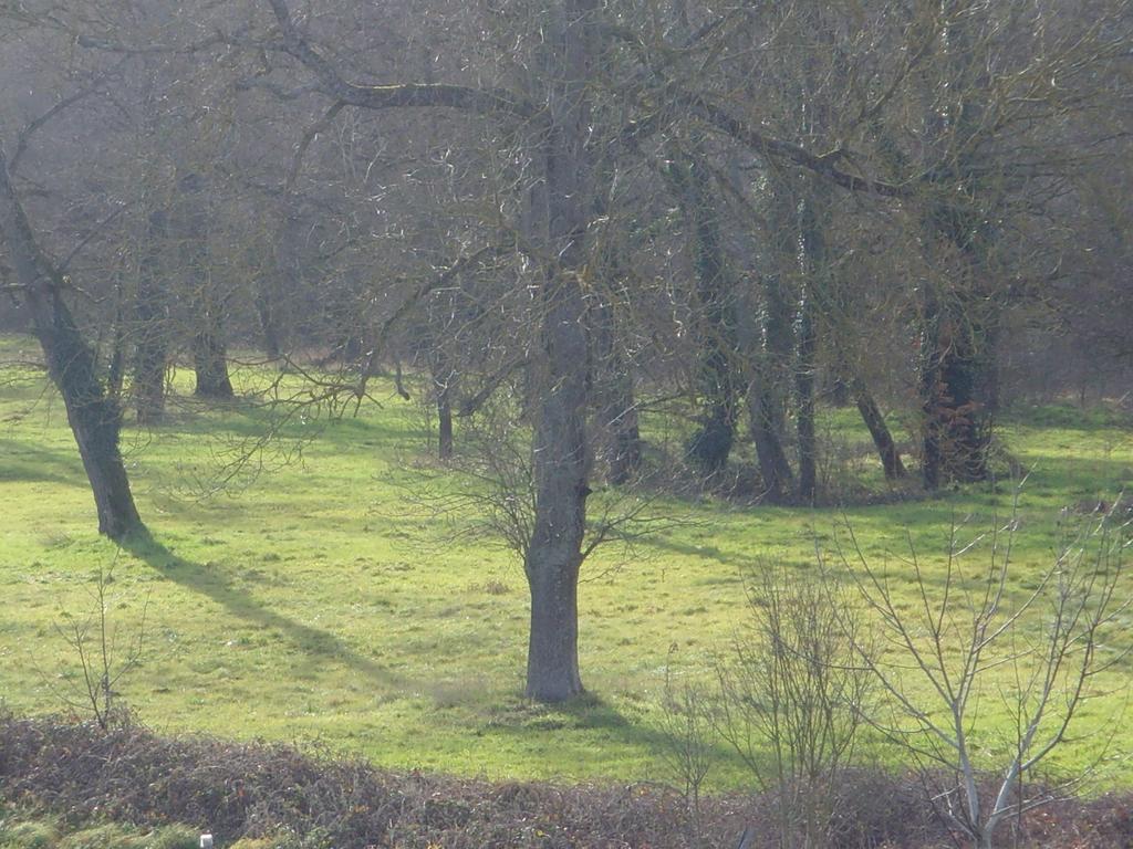 Le Bravard Jumeaux Esterno foto